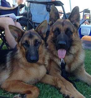 Delta and Quattro relaxing after Delta's star performance